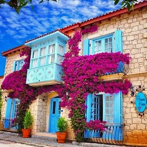 https://asma-han-hotel.aegeanhotels.net